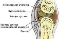 Синовиальная жидкость что это такое