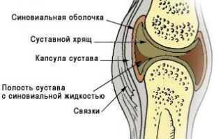 Синовиальная жидкость что это такое