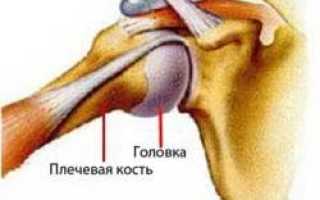 Форма плечевого сустава