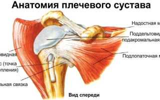 Плечевой сустав