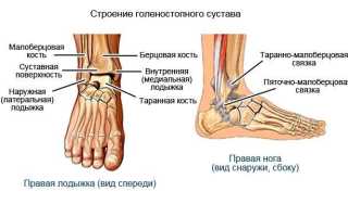 Болезни голеностопного сустава